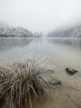 View across Königssee to boathouses, Christlieger island and frozen trees in fog, Schönau am