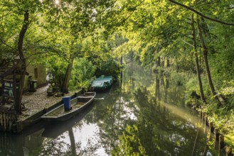 Canal or Spreewaldfließ in the Spreewald near Spreewalddorf Lehde, Lübbenau/Spreewald, Brandenburg,