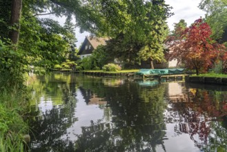 Canal or Spreewaldfließ in the Spreewald near Lübbenau/Spreewald, Brandenburg, Germany