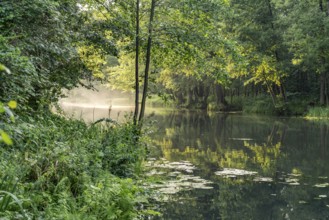 Canal or Spreewaldfließ in Spreewald near Burg, Brandenburg, Germany