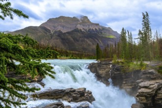 Athabasca falls cascades powerfully through a scenic gorge in jasper national park, alberta,
