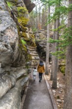 Mother and child enjoying a leisurely walk along a paved path, surrounded by lush green trees and