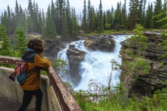 Tourist with backpack leaning on a wooden railing, admiring the powerful athabasca falls plunging