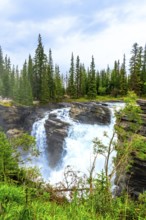 Powerful athabasca falls cascades over rocky cliffs in jasper national park, alberta, canada,