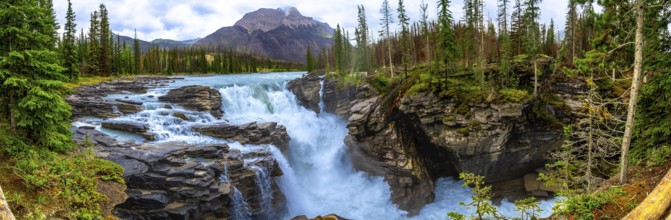 Panoramic view of the powerful athabasca falls cascading over rocks and surrounded by lush green