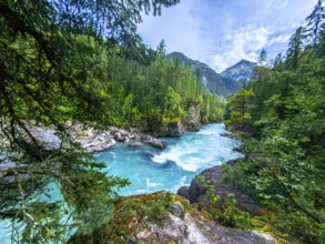 The turquoise water of the fraser river flows through a lush green forest, framed by majestic