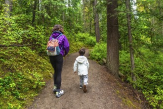 Mother and son are enjoying a leisurely hike along a tranquil forest path, surrounded by vibrant