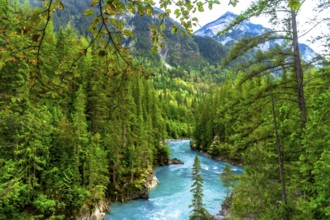 Turquoise water flows through a canyon surrounded by a lush green forest with mountains in the