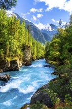 Turquoise water flows rapidly through a canyon in mount robson provincial park, surrounded by lush