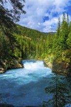 Turquoise fraser river flowing through lush green forest in mount robson provincial park, british