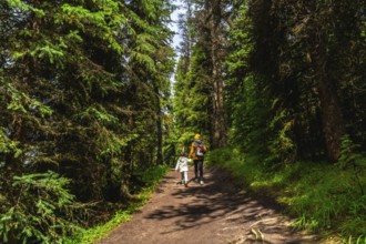 Mother and child walking on a path in a lush green forest near maligne lake in jasper national