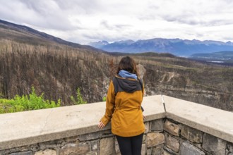 Hiker wearing a yellow jacket is enjoying the view of a burned forest and mountains in jasper