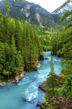 Turquoise water flows through a canyon surrounded by a lush green forest in mount robson provincial
