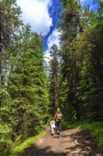 Mother and child walking on a trail enjoying the pristine nature of the canadian rockies in jasper