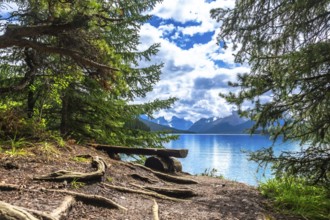 Wooden bench nestled among trees on the shore of tranquil maligne lake, offering breathtaking views