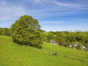 Aerial view, drone photo: Two hikers walk down the ridge trail through the Ore Mountains, health