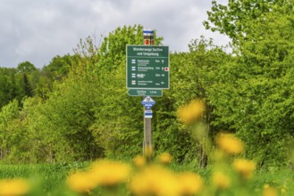 Hiking trail signs and flowers on the ridge trail through the Ore Mountains, health resort and toy