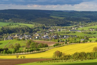 View from Schwartenberg over fields, forests, blooming rapeseed and the community of Neuhausen,