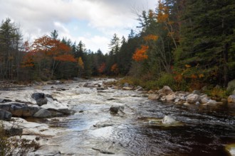 Rapids, Rocky Gorge, Swift River, Albany Riverscape, Fall Leaves, Indian Summer, Fall Weather,