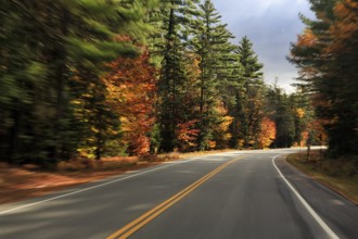 Winding country road through forest, autumn leaves, Indian summer, sunny fall weather, smudge