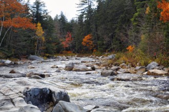 Rapids, Rocky Gorge, Swift River, River Landscape near Albany, Autumn Leaves, Indian Summer, White