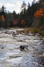 Rapids, Rocky Gorge, Swift River, River Landscape near Albany, Autumn Leaves, Indian Summer, White