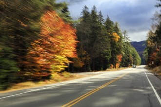 Country road through forest, autumn leaves, Indian summer, sunny fall weather, smudge effect, blur,