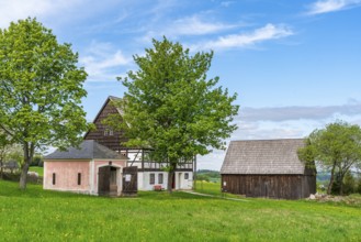 Historic wooden houses and barn with half-timbered buildings and shingles under trees in the