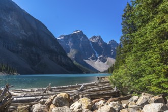 Driftwood logs and rocks resting on the shore of moraine lake, featuring stunning turquoise water