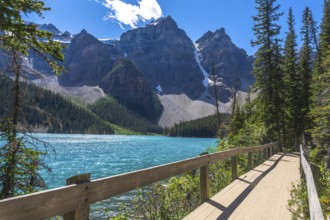 Moraine lake in banff national park features turquoise water, a wooden boardwalk, snow capped