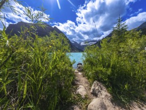 Sun shining over a rocky path leading through lush vegetation to the turquoise waters of moraine