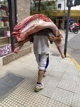 Man carries half of a cow on his shoulder. Beef is an important foodstuff in Argentina and is
