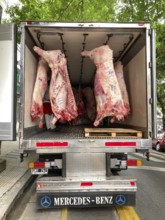 Mercedes refrigerated van with beef halves, half beef, beef, delivering in the city of Buenos