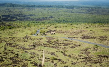 Landscape of a rural road surrounded by vegetation. View of an asphalt road in a green and natural