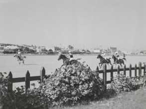 Horse riders playing polo game, Malta Polo Club, Marsa, Malta, Europe 1956