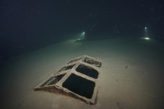 Divers examine a ledi wreck, wreck of a ledi ship, Ledi ship, cargo ship for mass freight, bulk