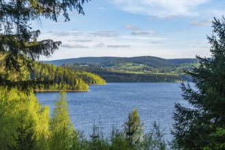 View through the spruce forest of the Eibenstock drinking water dam, Ore Mountains, Saxony, Germany