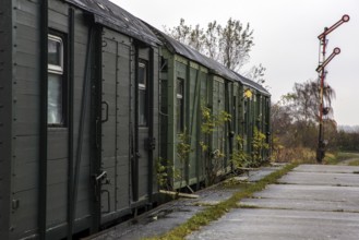 Old ice railway wagons at the former Bresewitz station, near Zingst, Mecklenburg-Western Pomerania,