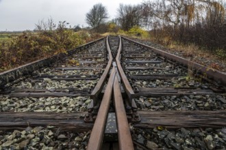 Old railroad tracks at Bresewitz station, near Zingst, Mecklenburg-Western Pomerania, Germany