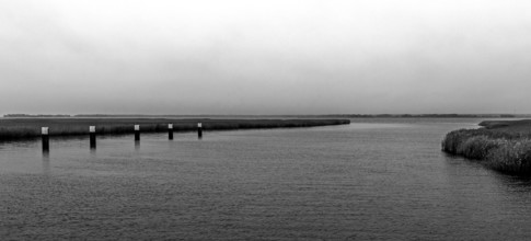 Lagoon landscape at the Meinigenbrücke near Zingst, black and white photo, panorama,