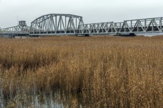 Meiningenbrücke, connection on Fischland-Darß-Zingst, Vorpommersche Boddenlandschaft National Park,