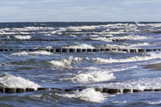 Groows in the sea, people on the beach, Zingst, Fischland-Darß-Zingst, Western Pomerania National