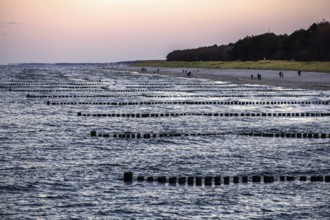Beach, grooms in the sea, people on the beach, evening light, Zingst, Fischland-Darß-Zingst,