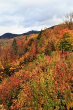 Scenic View, Fall Leaves, Indian Summer, Sugar Hill Observation Deck, Kancamagus Highway, White