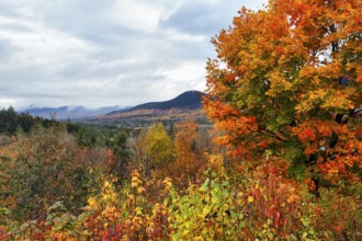 Scenic View, Panoramic View, Fall Leaves, Indian Summer, Fall Weather, Sugar Hill Observation Deck,