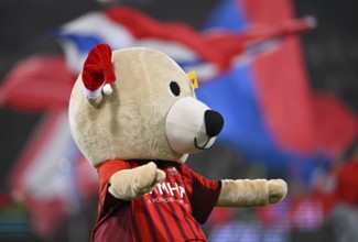 Mascot Paule 1. FC Heidenheim 1846 FCH with Santa hat, Voith-Arena, Heidenheim, Baden-Württemberg,