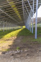View of metallic structures along the shadows under solar panels, energy revolution, construction