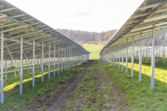 Rows of solar modules on a green field, energy revolution, construction of PV open space,