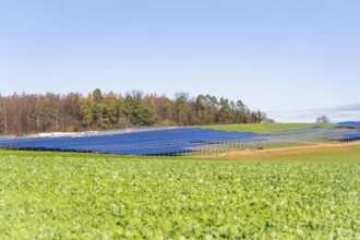 Solar panels in a field next to a forest, under clear skies, Energiewende, construction of PV open