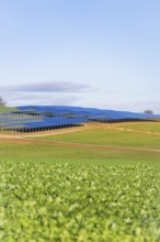 An extensive landscape with solar panels under clear, blue sky, energy revolution, construction of